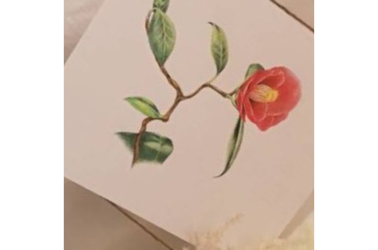 ひとのわ